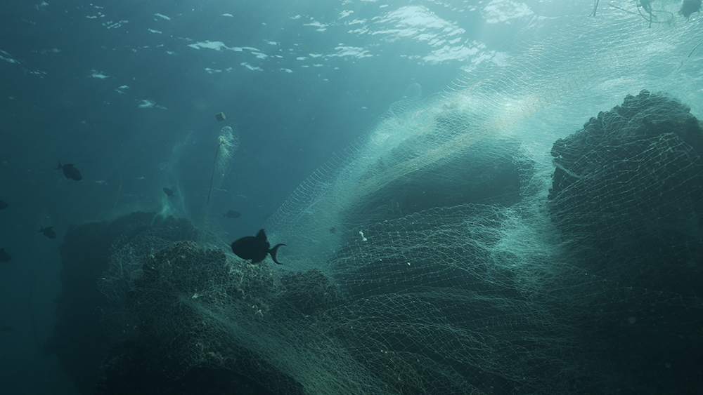 سامسونج تعيد استخدام شبكات الصيد المهملة لأجهزة جالكسي الجديدة | ديناصور.تك