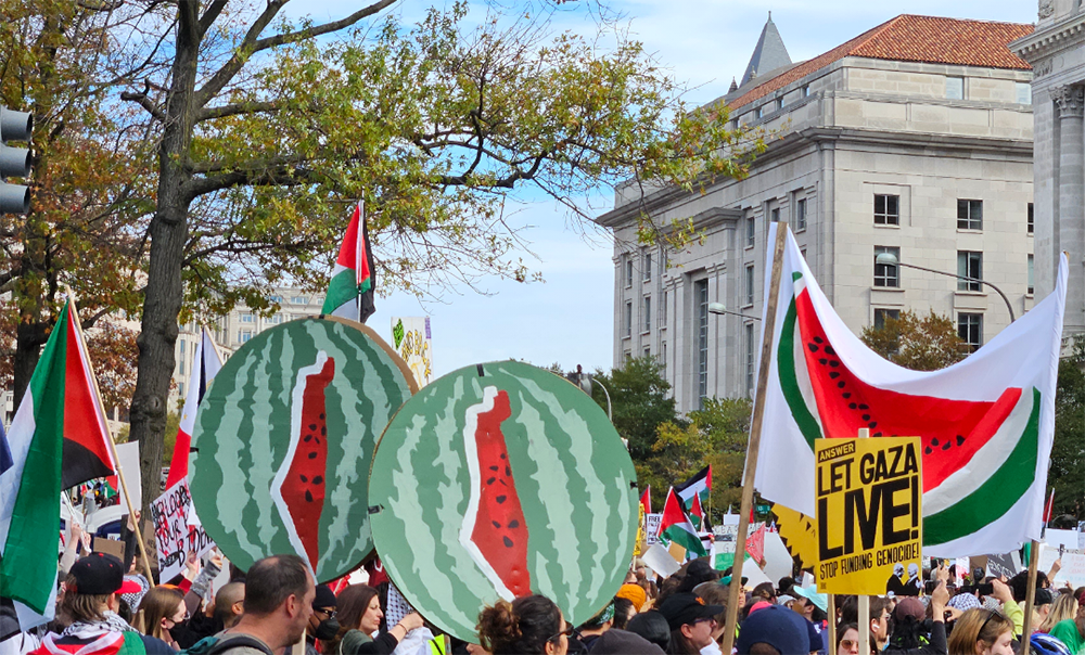 كيف أصبح البطيخ رمزاً لدعم القضية الفلسطينية؟ | ديناصور.تك